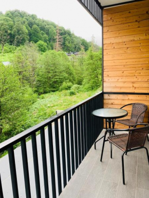 Comfortable Apartment near Didveli